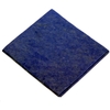 Geschirrtuch Omni-wipe - 38 x 40 cm - blau